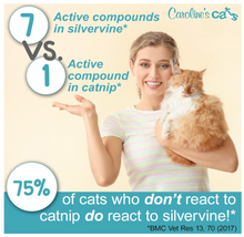 Caroline's Cats Silvervine Powder Packets for Cat Toys - Gall Fruit Refill Pouches More Potent Than Catnip Replacements for Flapping Bird, Flopping Fish, and More