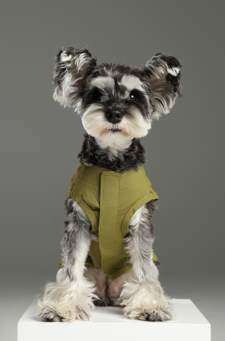 CHILL VEST SHIRT - GREEN