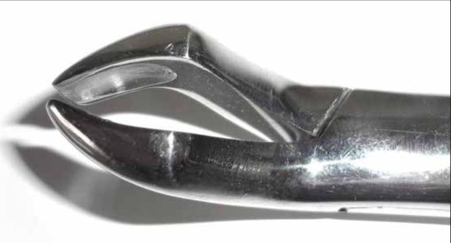 Dental Forcep #10H