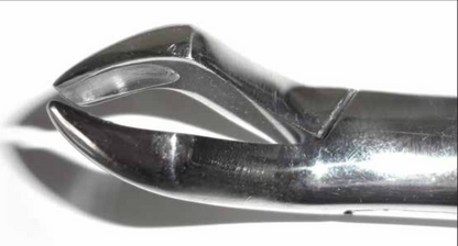 Dental Forcep #10H