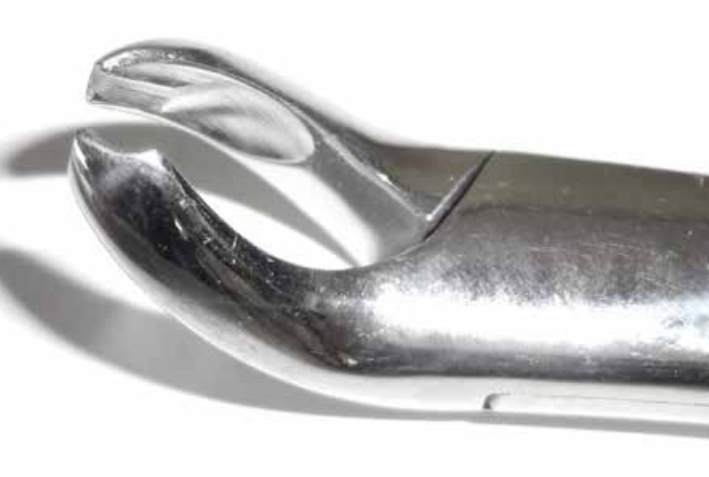 Dental Forcep #15