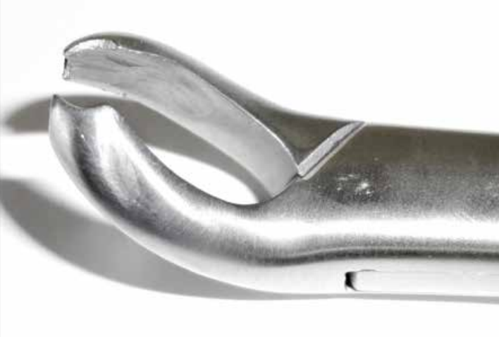 Dental Forcep #17
