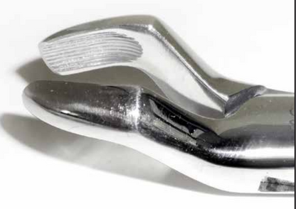 Dental Forcep #210S
