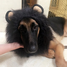 Pet Costume Funny Dog Lion Mane With Ears Wig Hat Pet Lion Headpiece Halloween Party Photo Prop Cute Animal Costume