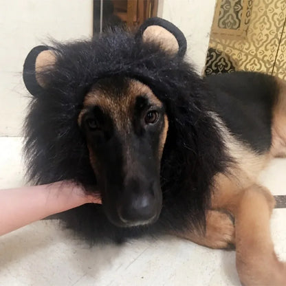 Pet Costume Funny Dog Lion Mane With Ears Wig Hat Pet Lion Headpiece Halloween Party Photo Prop Cute Animal Costume