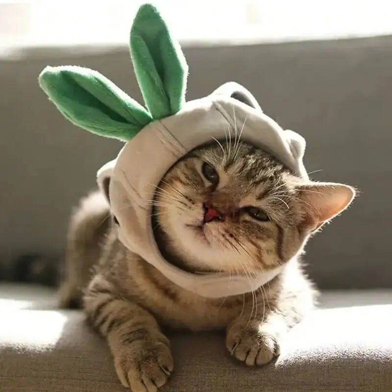 Funny Cat Dog Hat With Ears, Cute Pet Headgear Ear Opening Accessory For Small Medium Cats Dogs, Adorable Pet Costume Headwear