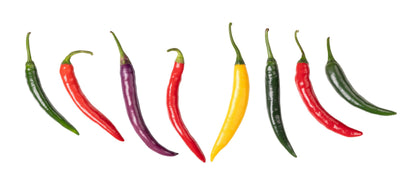100 MIXED CAYENNE PEPPER Hot Yellow Purple Orange Red Green Capsicum Vegetable Seeds