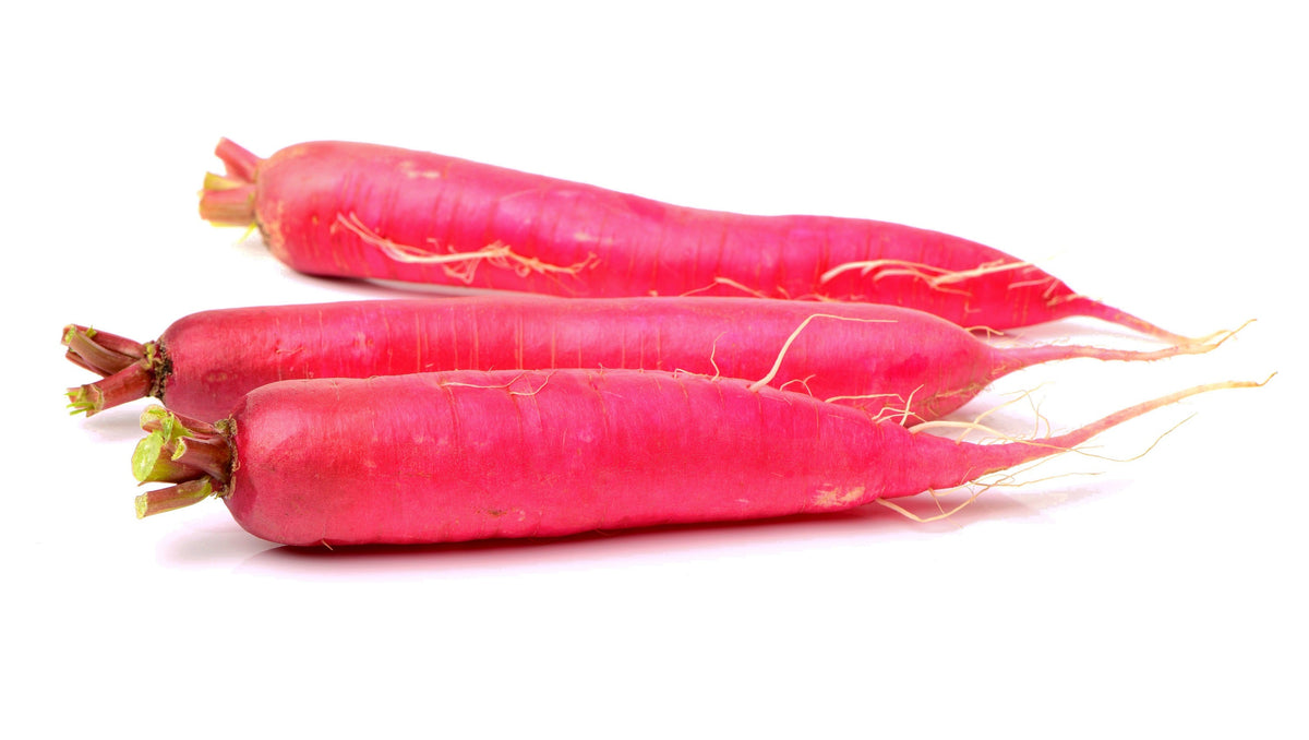 250 RED Arrow SPROUTING RADISH MiniGreen Daikon Raphanus Sativus Vegetable Seeds