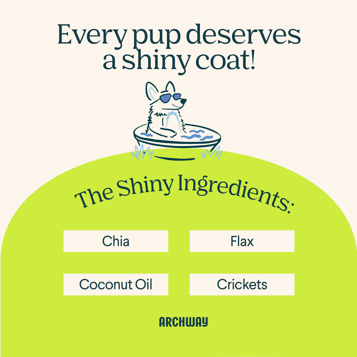 Skin & Coat Health