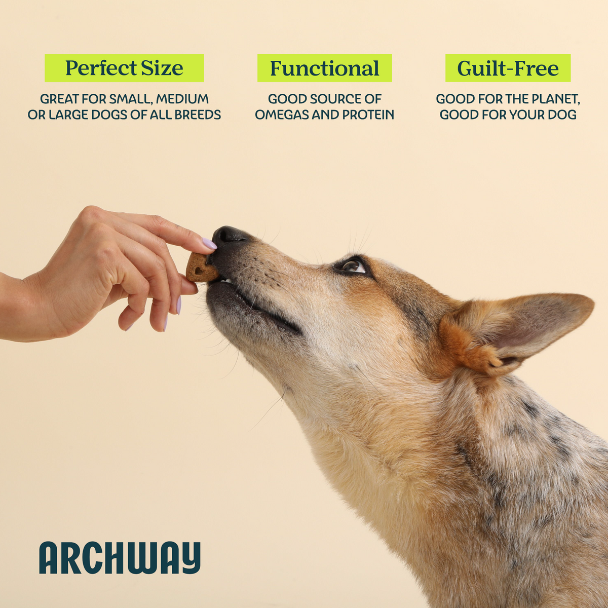 Skin & Coat Health