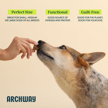 Skin & Coat Health
