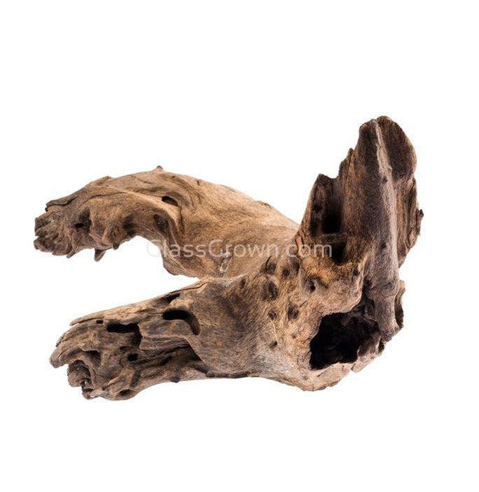Mopane Congo Driftwood Medium (10-15")