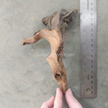 Pacific Driftwood Medium (6"+)