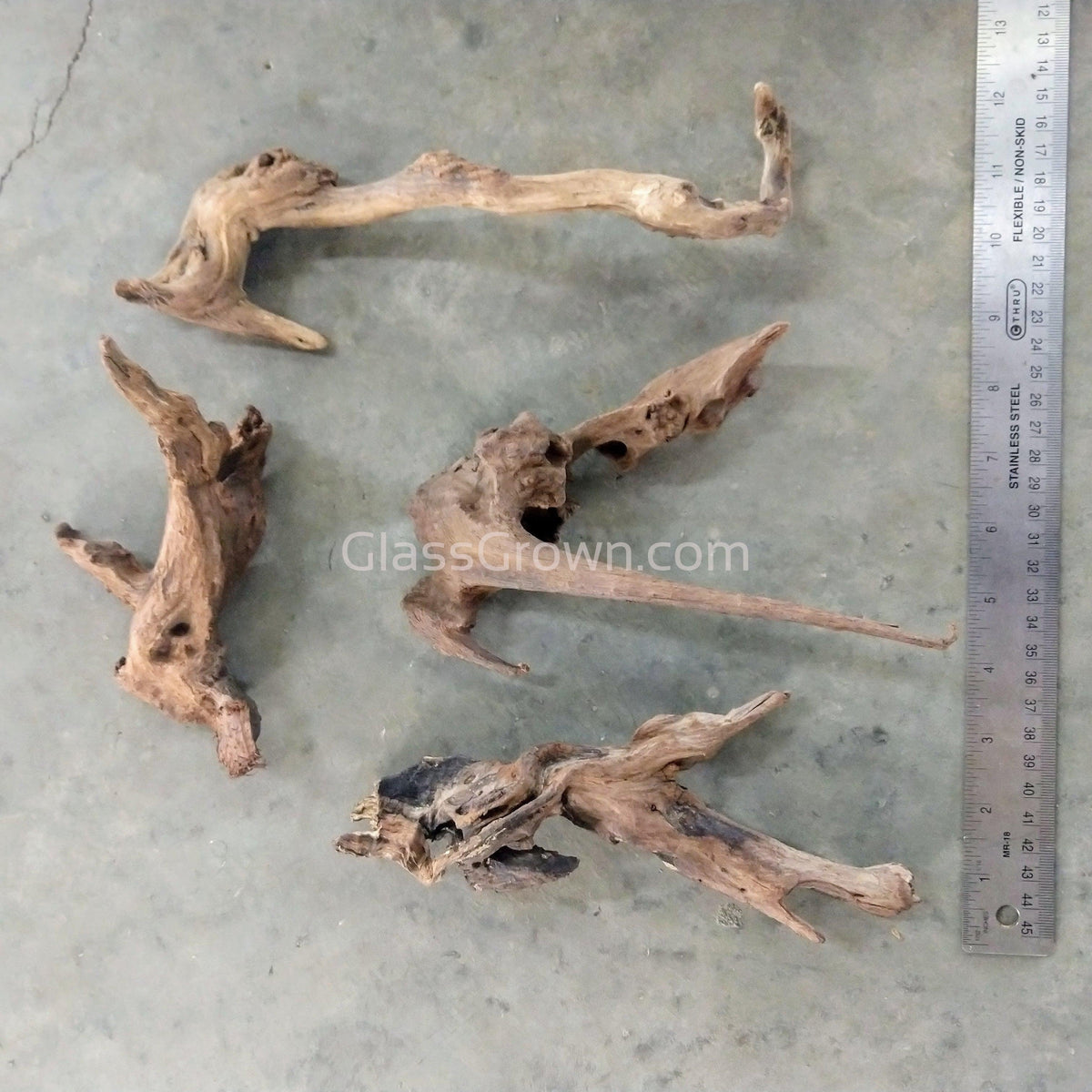 Pacific Driftwood Medium (6"+)