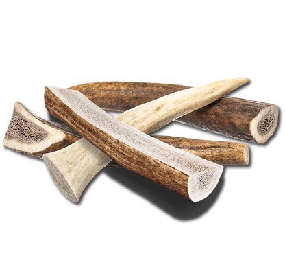 Small Elk Chew