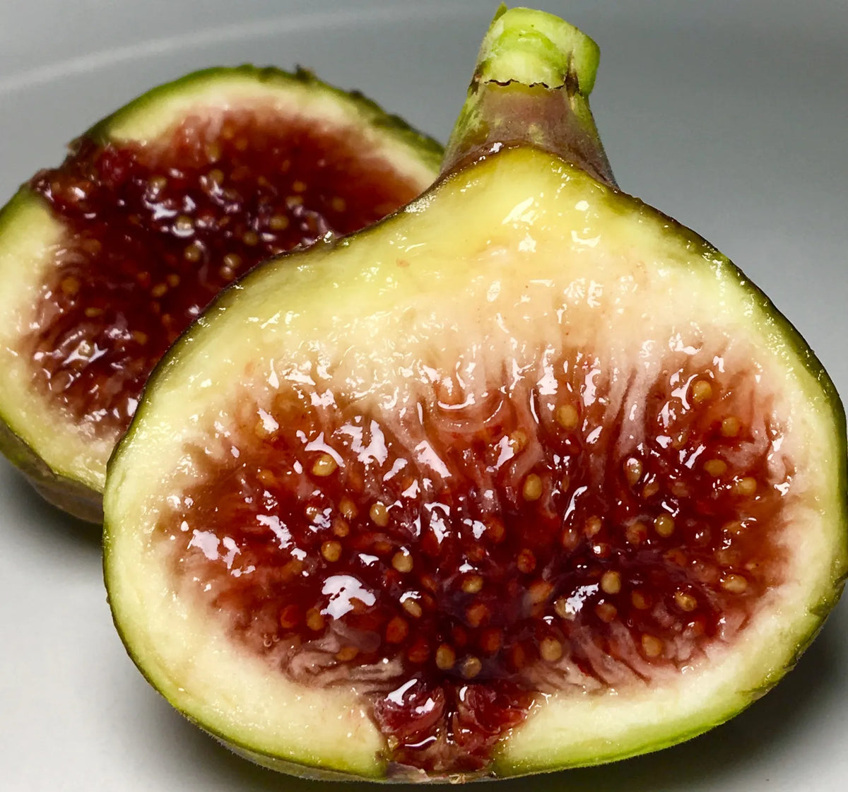 Unrooted Fig Tree Cuttings – 6-8 Inch Smith Heirloom Variety for Propagation, Organic, Fruiting Tree
