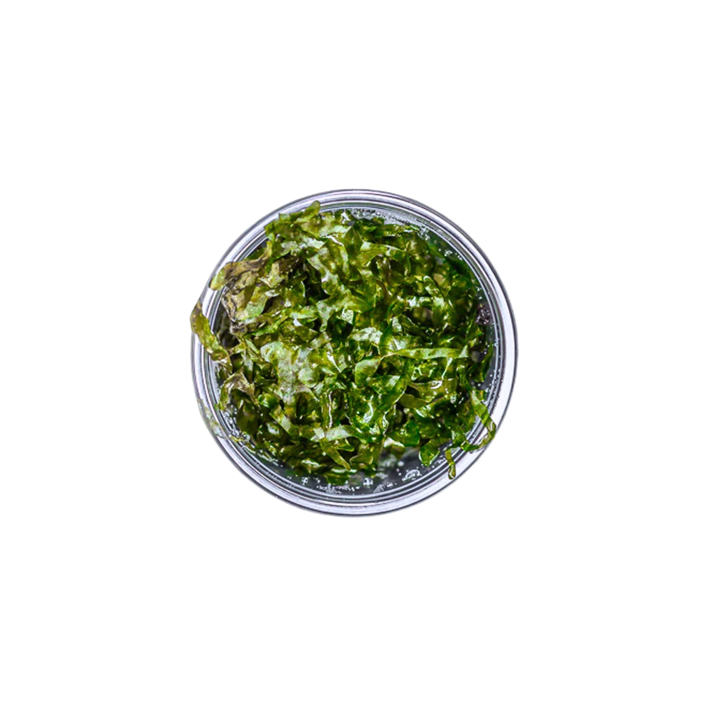 Subwassertang