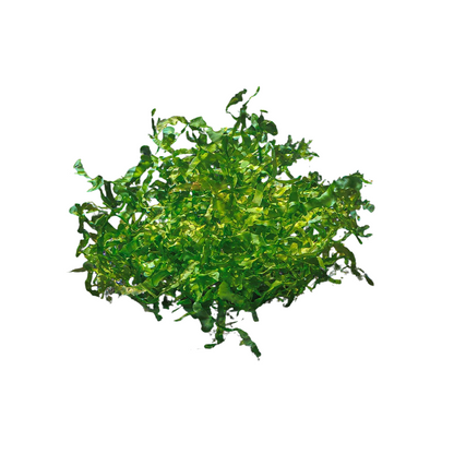 Subwassertang