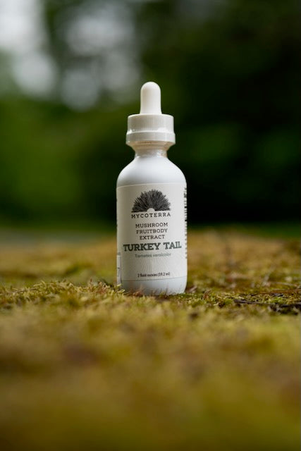 Organic Turkey Tail Mushroom Tincture 2oz.