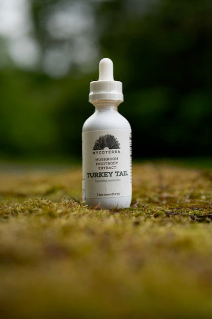 Organic Turkey Tail Mushroom Tincture 2oz.