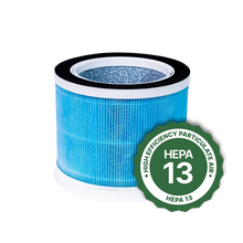 Air Sentry Replacement Filters
