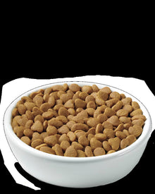 Pro Plan Adult Weight Management Chicken & Rice Formula Dry Cat Food (3.5lb)