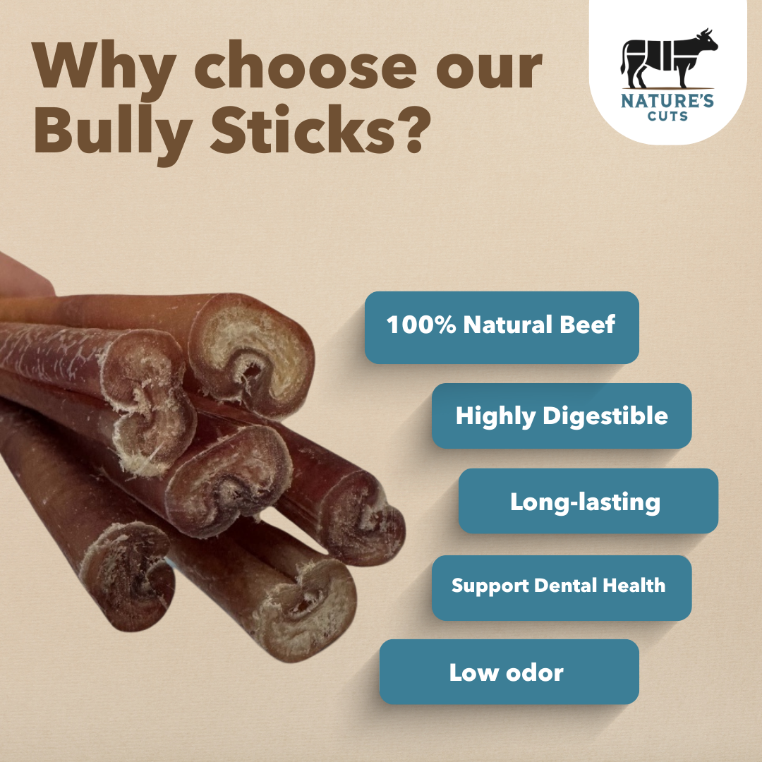 12" Jumbo Bully Sticks Display Box-3