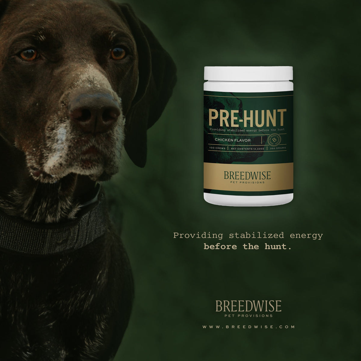 Breedwise Pre-HUNT Soft Dog Chews - Wholesale (1 case=6 jars)