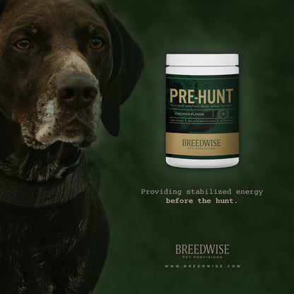 Breedwise Pre-HUNT Soft Dog Chews - Wholesale (1 case=6 jars)