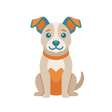Adult Dog