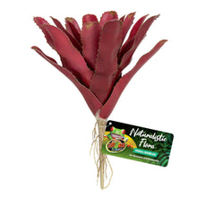 Zoo Med Naturalistic Flora Chestnut Bromeliad Terrarium Plant