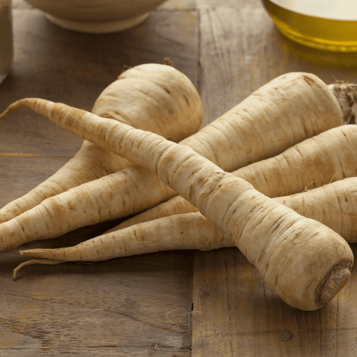 All American Parsnip – 100 Seeds