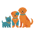 All Dogs