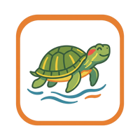 Aquatic Turtle