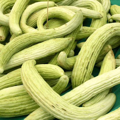 Armenian Yard-Long Cucumber – 30 Seeds