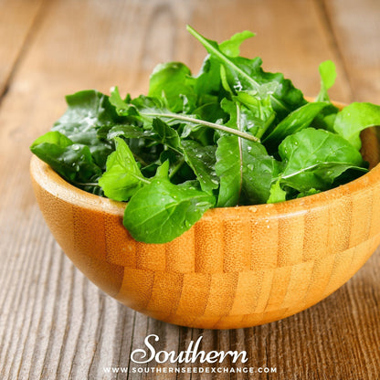 Roquette Arugula – 200 Seeds