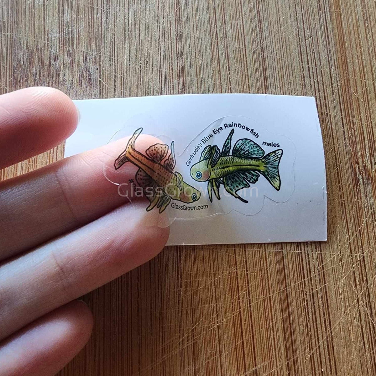 Mystery Nano Fish Stickers 5 pack