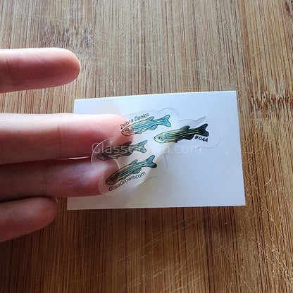 Mystery Nano Fish Stickers 5 pack