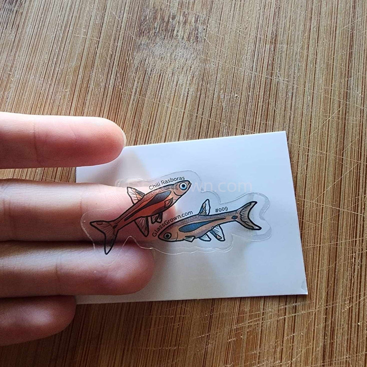 Mystery Nano Fish Stickers 5 pack