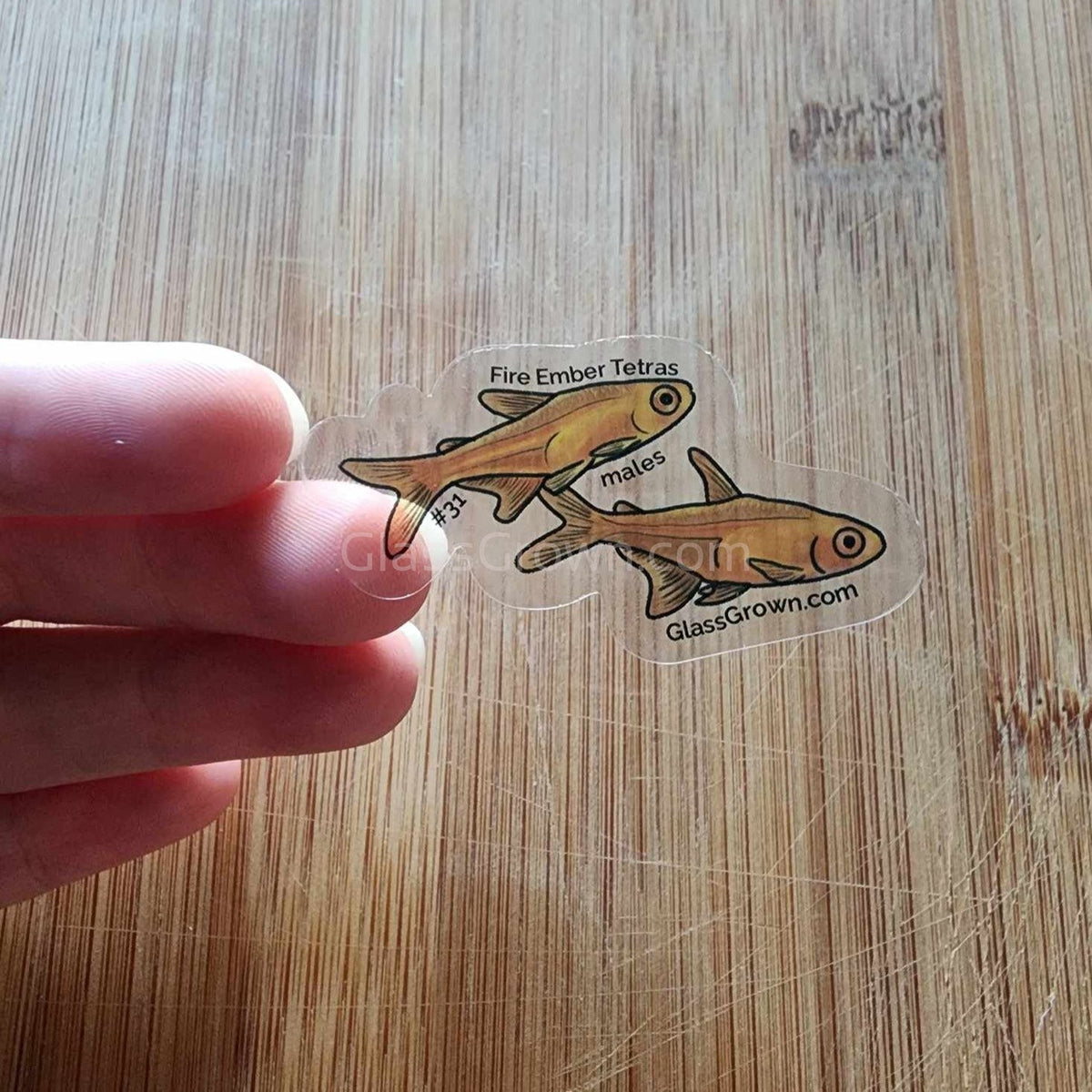 Mystery Nano Fish Stickers 5 pack