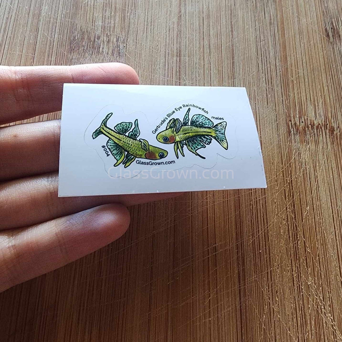Mystery Nano Fish Stickers 5 pack