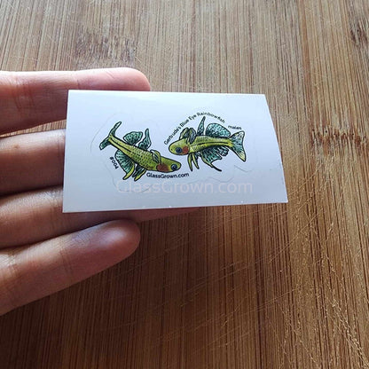 Mystery Nano Fish Stickers 5 pack