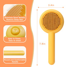 Cat Brushes for Indoor Cats