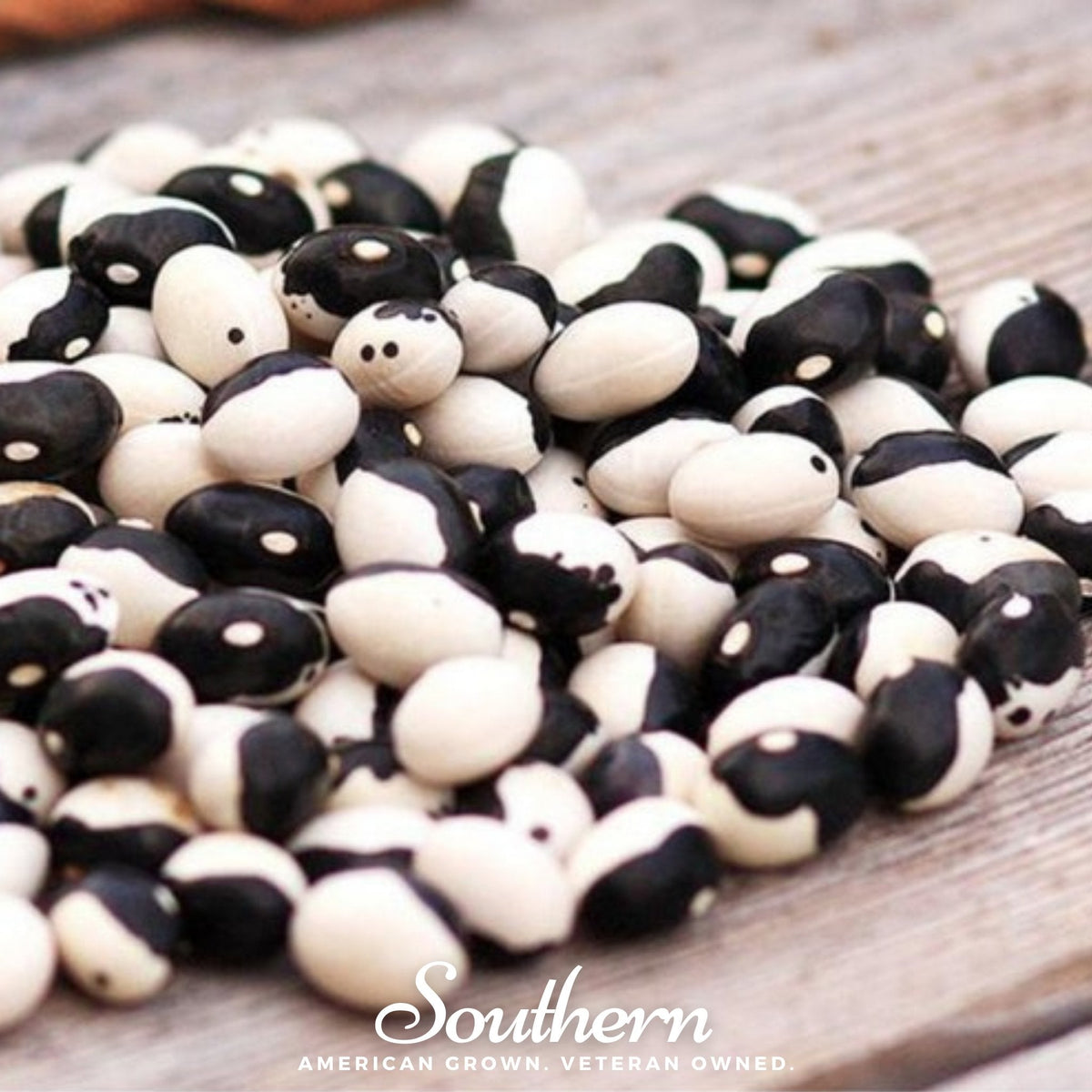 Calypso Orca Bean Seeds – Heirloom Bush Phaseolus vulgaris, Black & White Pattern, Edible Dry Beans, 25 Seeds