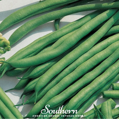 Kentucky Blue Bean (Pole) – 50 Seeds