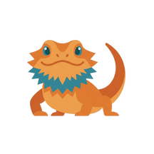 Bearded Dragon Supplies, Food & Care Guides