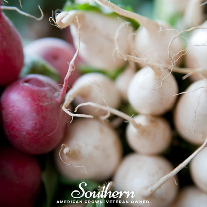 Detroit White Beet – 200 Seeds
