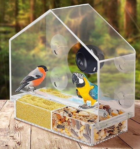 Bird's Eye View: Smart Bird Feeder With Live Camera Feed