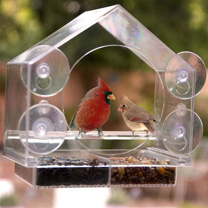 Bird's Eye View: Smart Bird Feeder With Live Camera Feed