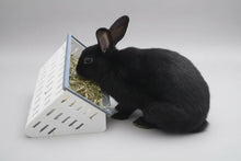The Open Air Hay Feeder